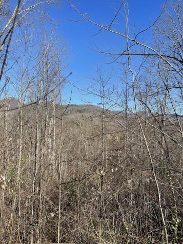 0 Tom Wheeler Road Hiawassee GA 30546