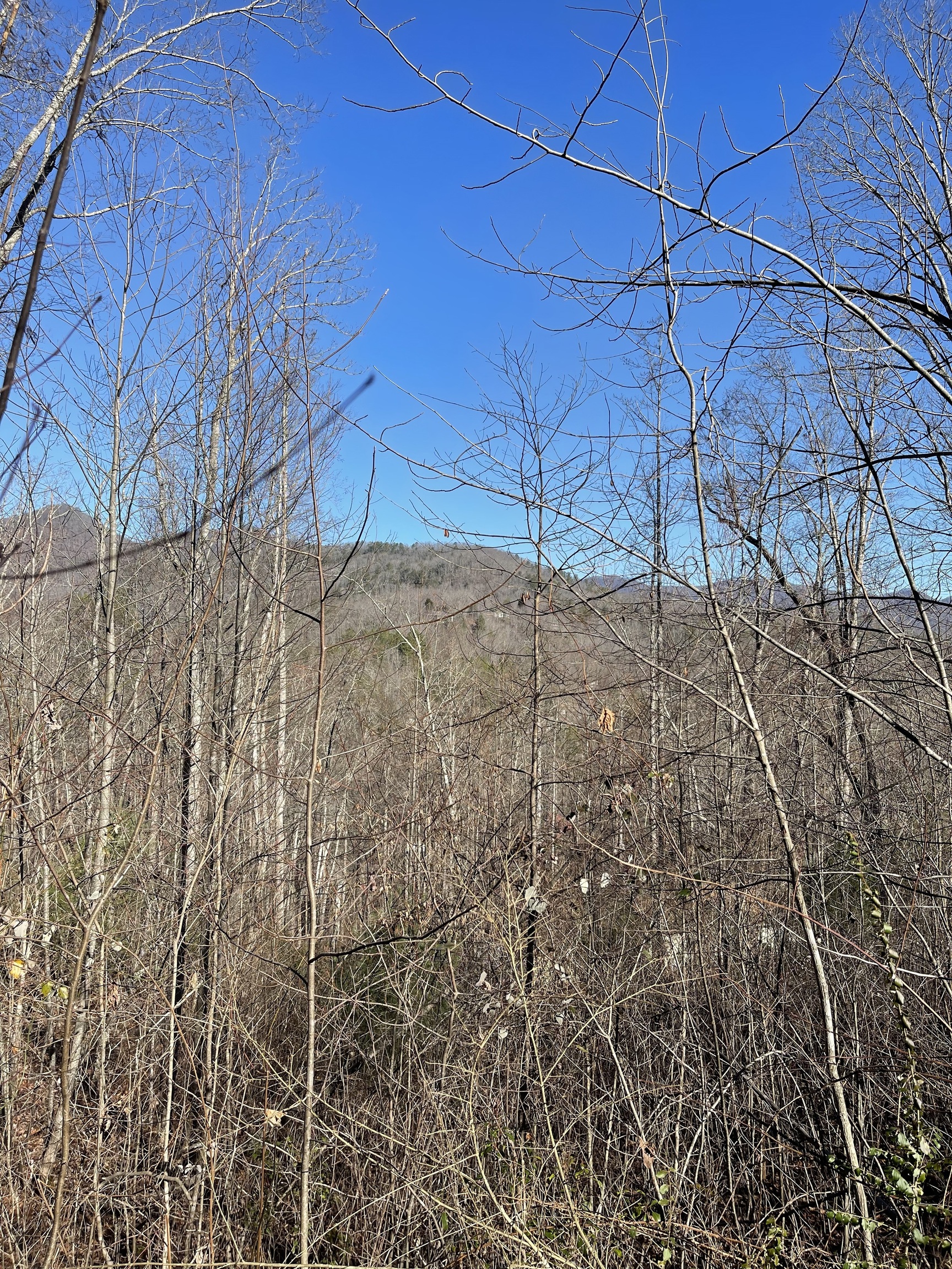 0 Tom Wheeler Road Hiawassee GA 30546