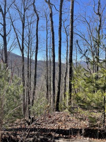 0 Tom Wheeler Road Hiawassee GA 30546