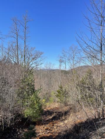 0 Tom Wheeler Road Hiawassee GA 30546