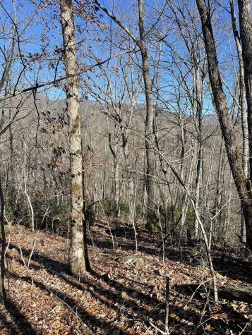 0 Tom Wheeler Road Hiawassee GA 30546