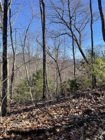 0 Tom Wheeler Road Hiawassee GA 30546