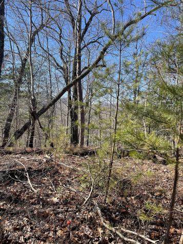 0 Tom Wheeler Road Hiawassee GA 30546