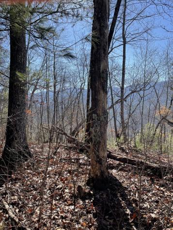 0 Tom Wheeler Road Hiawassee GA 30546