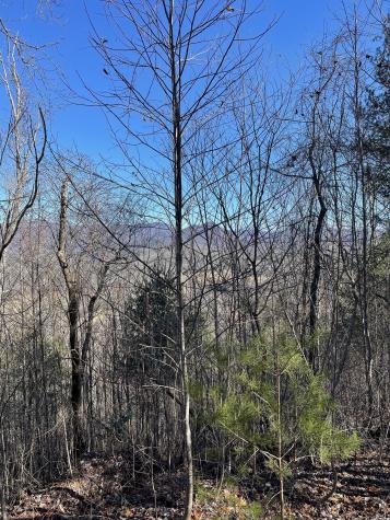 0 Tom Wheeler Road Hiawassee GA 30546