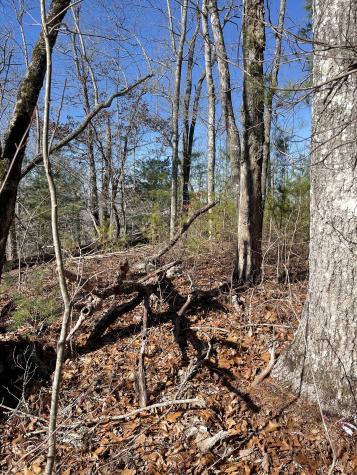 0 Tom Wheeler Road Hiawassee GA 30546