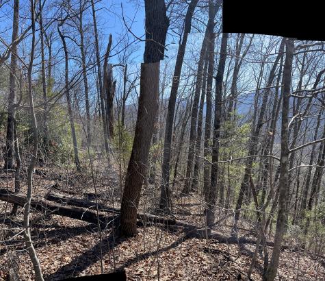 0 Tom Wheeler Road Hiawassee GA 30546