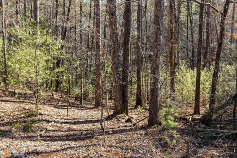 59 Ac Hwy 356 & Skylake Road Sautee Nacoochee GA 30571