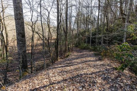 59 Ac Hwy 356 & Skylake Road Sautee Nacoochee GA 30571