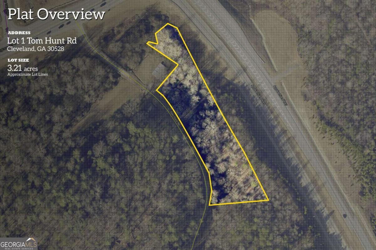 0 Tom Hunt Road Cleveland GA 30528