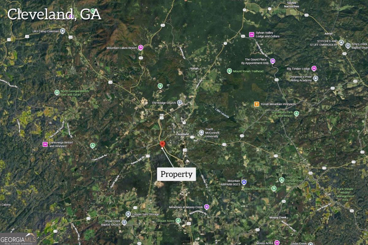 0 Tom Hunt Road Cleveland GA 30528