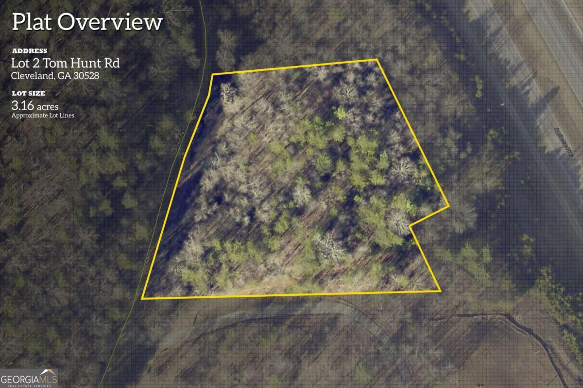 0 Tom Hunt Road Cleveland GA 30528