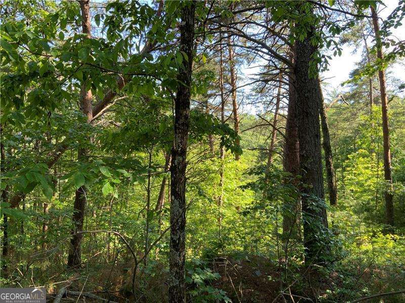 1335 Birch Lane Ranger GA 30734