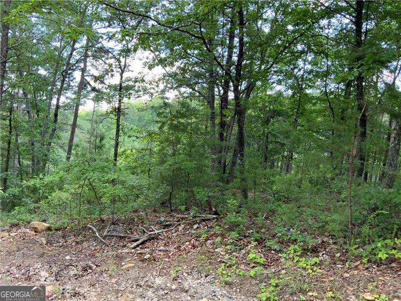 1335 Birch Lane Ranger GA 30734