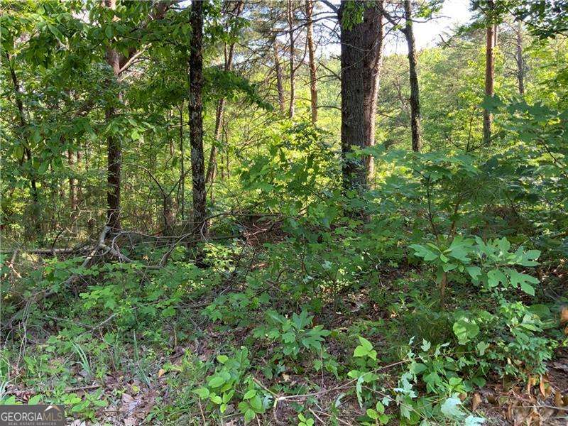 1335 Birch Lane Ranger GA 30734