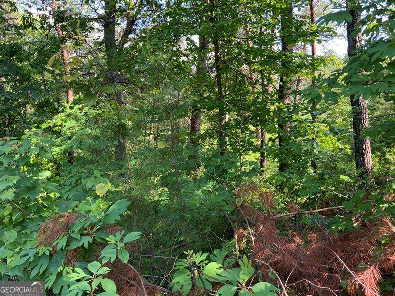 1335 Birch Lane Ranger GA 30734