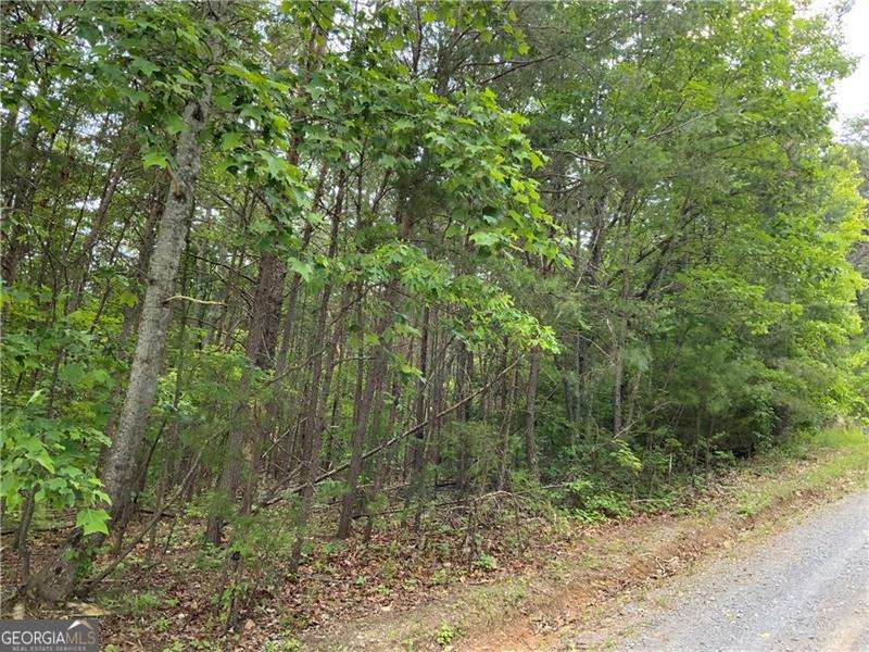 1335 Birch Lane Ranger GA 30734