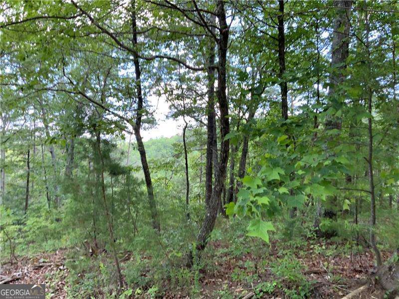 1335 Birch Lane Ranger GA 30734