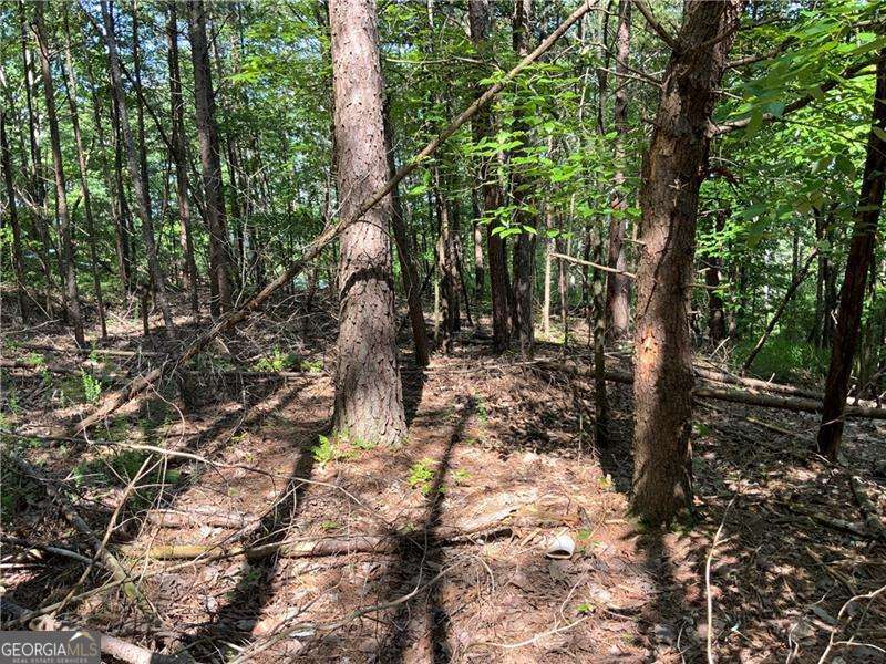 1335 Birch Lane Ranger GA 30734