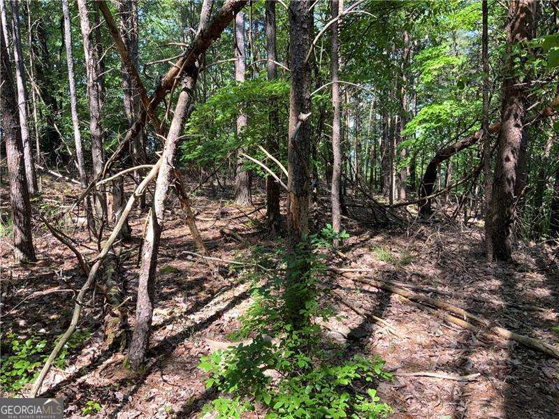 1335 Birch Lane Ranger GA 30734