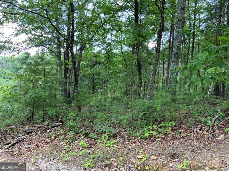 1335 Birch Lane Ranger GA 30734