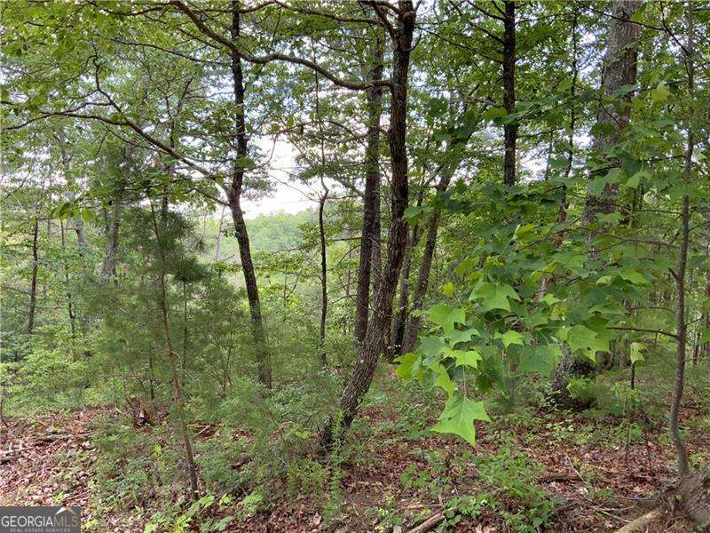 1335 Birch Lane Ranger GA 30734