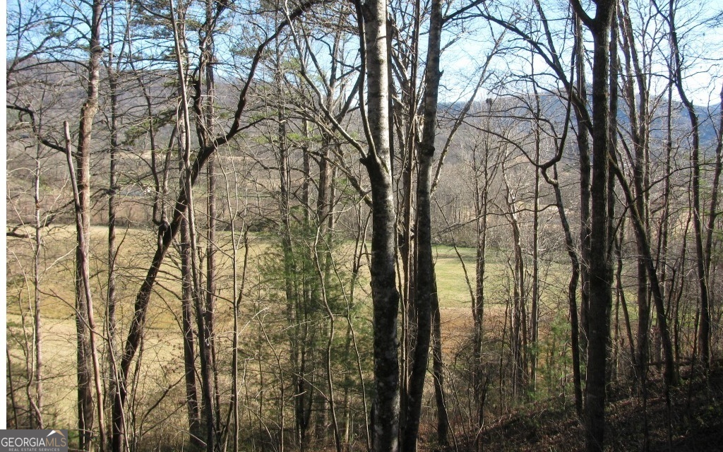 #39 Pinecrest Road Young Harris GA 30582