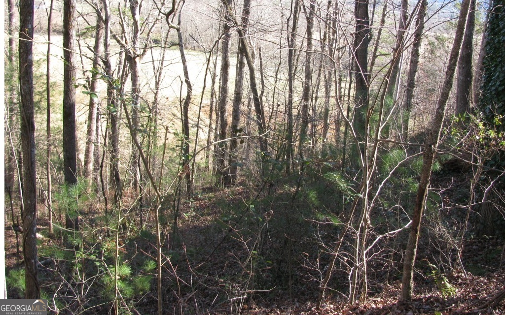 #39 Pinecrest Road Young Harris GA 30582