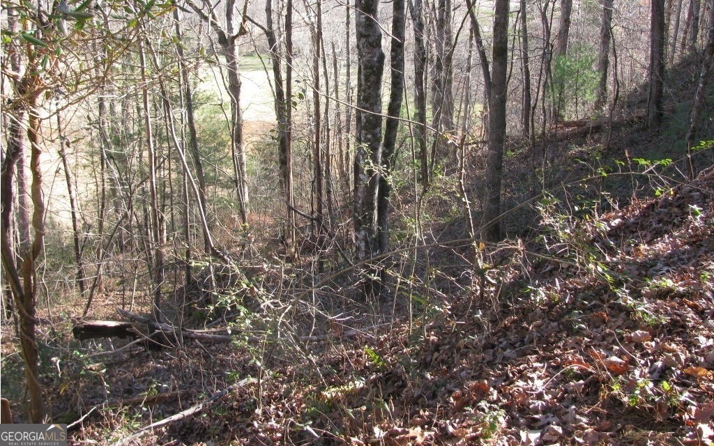 #39 Pinecrest Road Young Harris GA 30582
