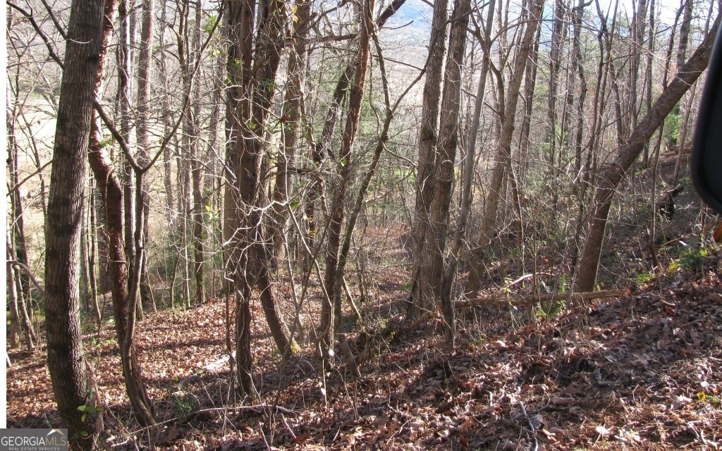 #39 Pinecrest Road Young Harris GA 30582