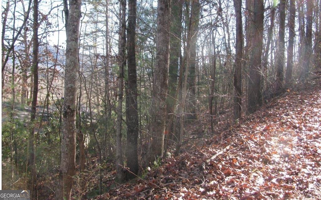 #39 Pinecrest Road Young Harris GA 30582