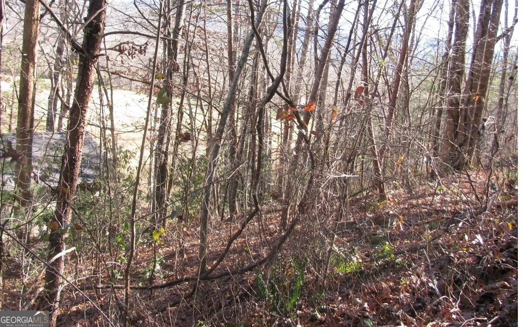 #39 Pinecrest Road Young Harris GA 30582