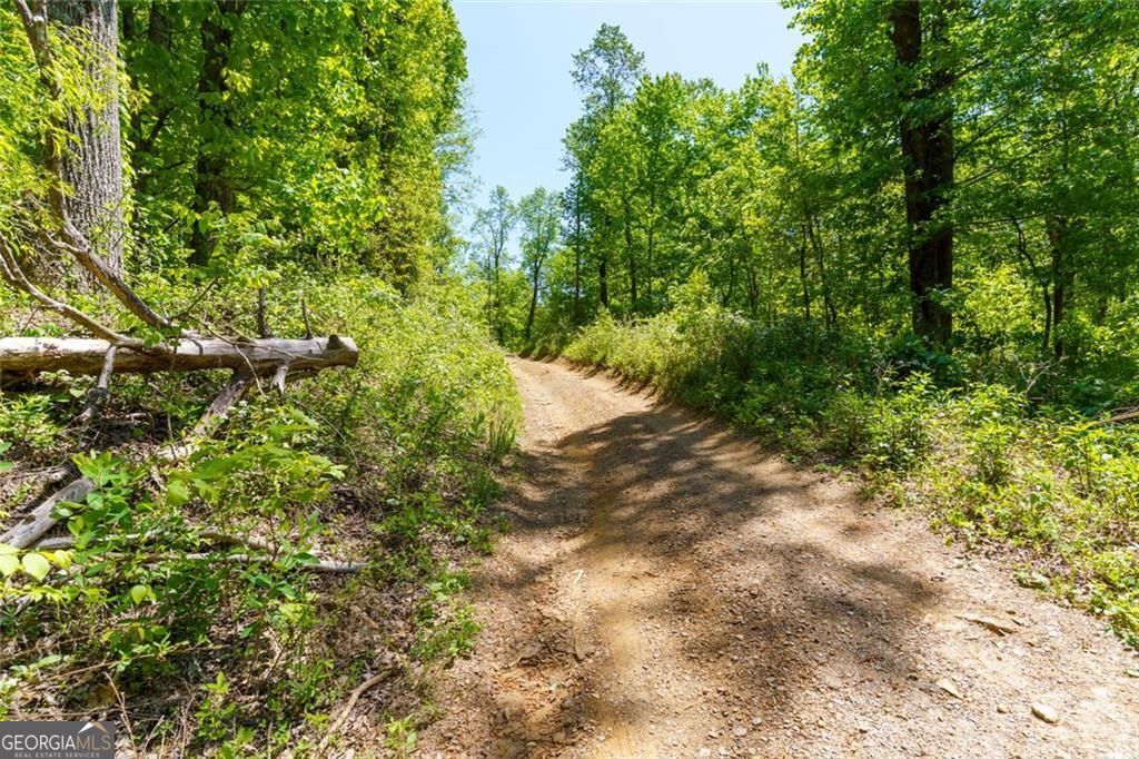 0 Fire Tower Road Jasper GA 30143