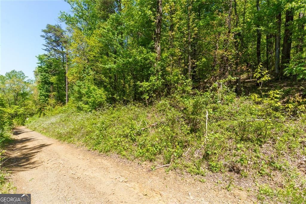 0 Fire Tower Road Jasper GA 30143