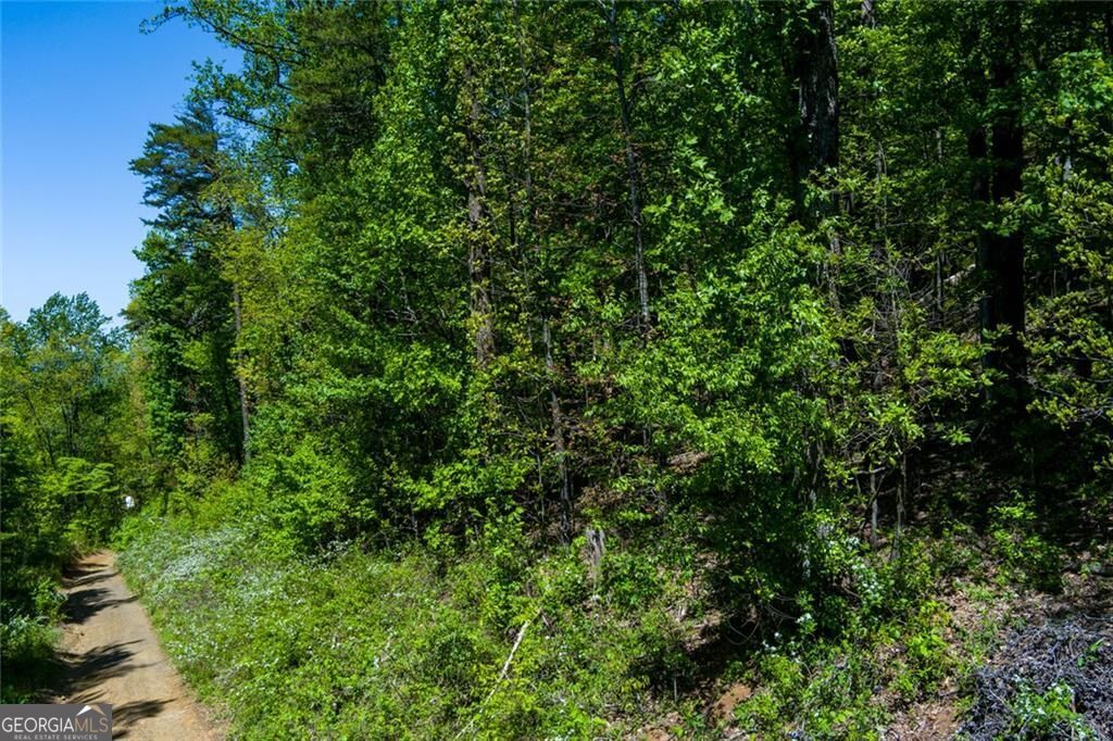 0 Fire Tower Road Jasper GA 30143