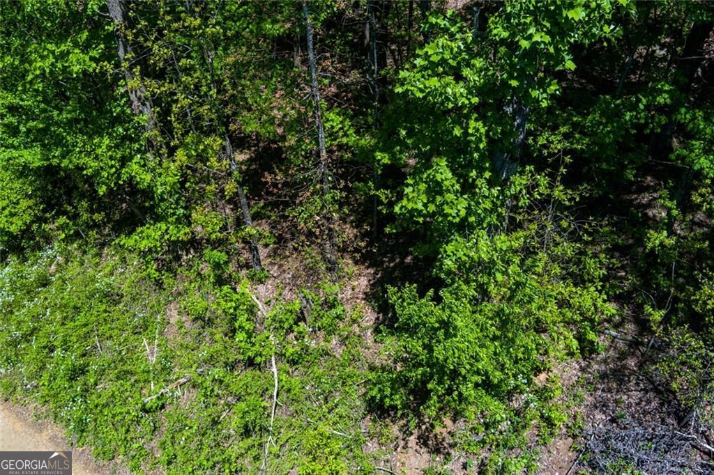 0 Fire Tower Road Jasper GA 30143