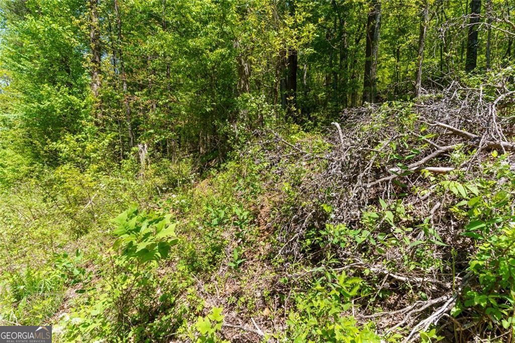 0 Fire Tower Road Jasper GA 30143