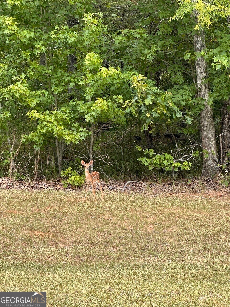 Lot 16 South Point Drive Tignall GA 30668
