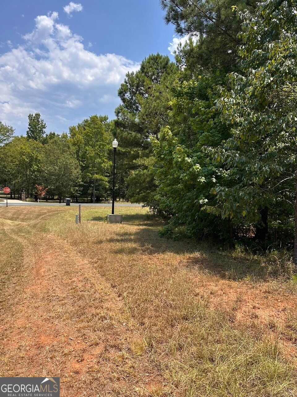 Lot 16 South Point Drive Tignall GA 30668