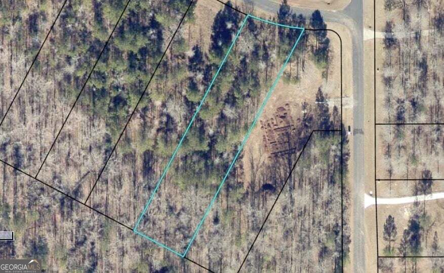 Lot 16 South Point Drive Tignall GA 30668