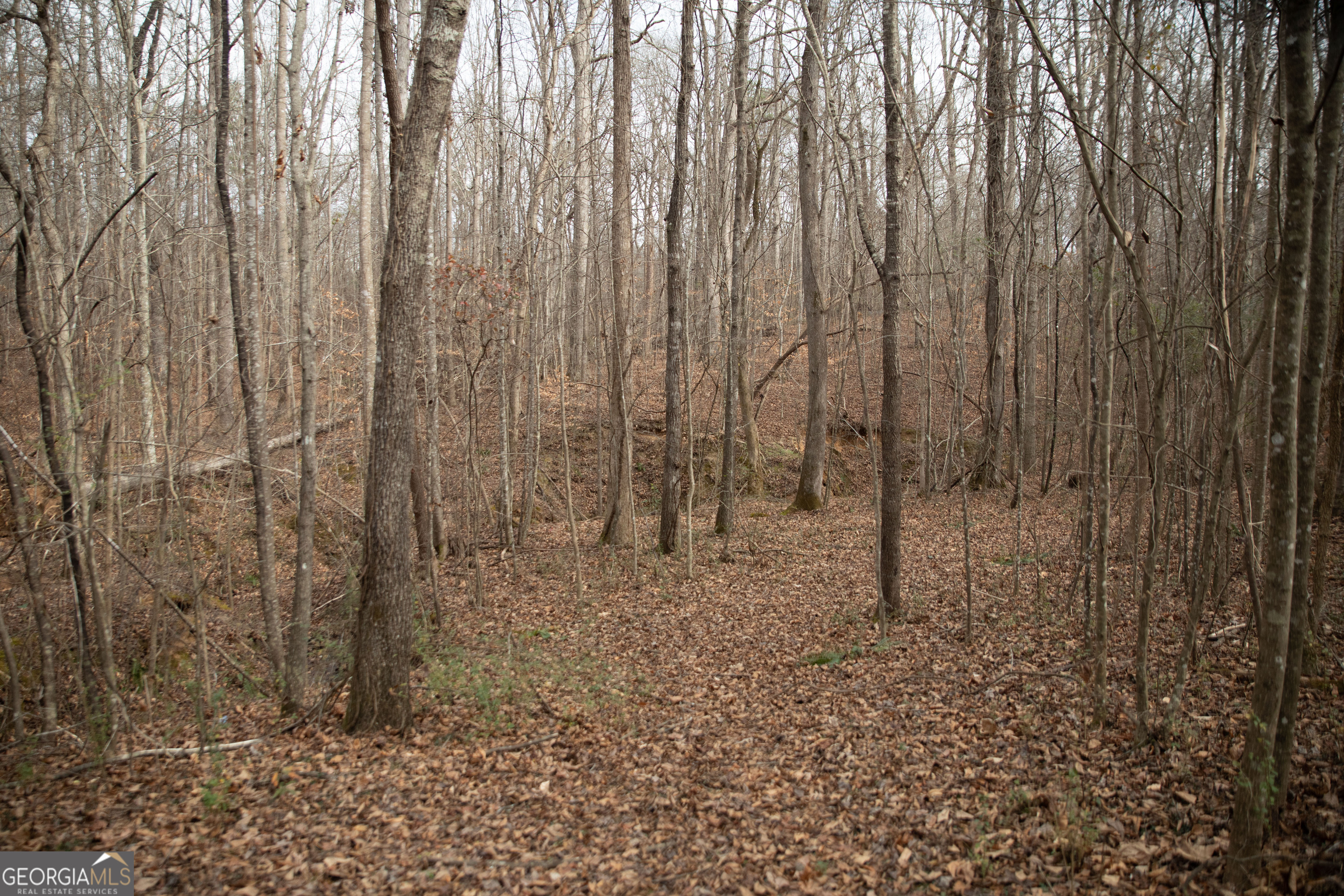 0 Kesler Carnesville GA 30521