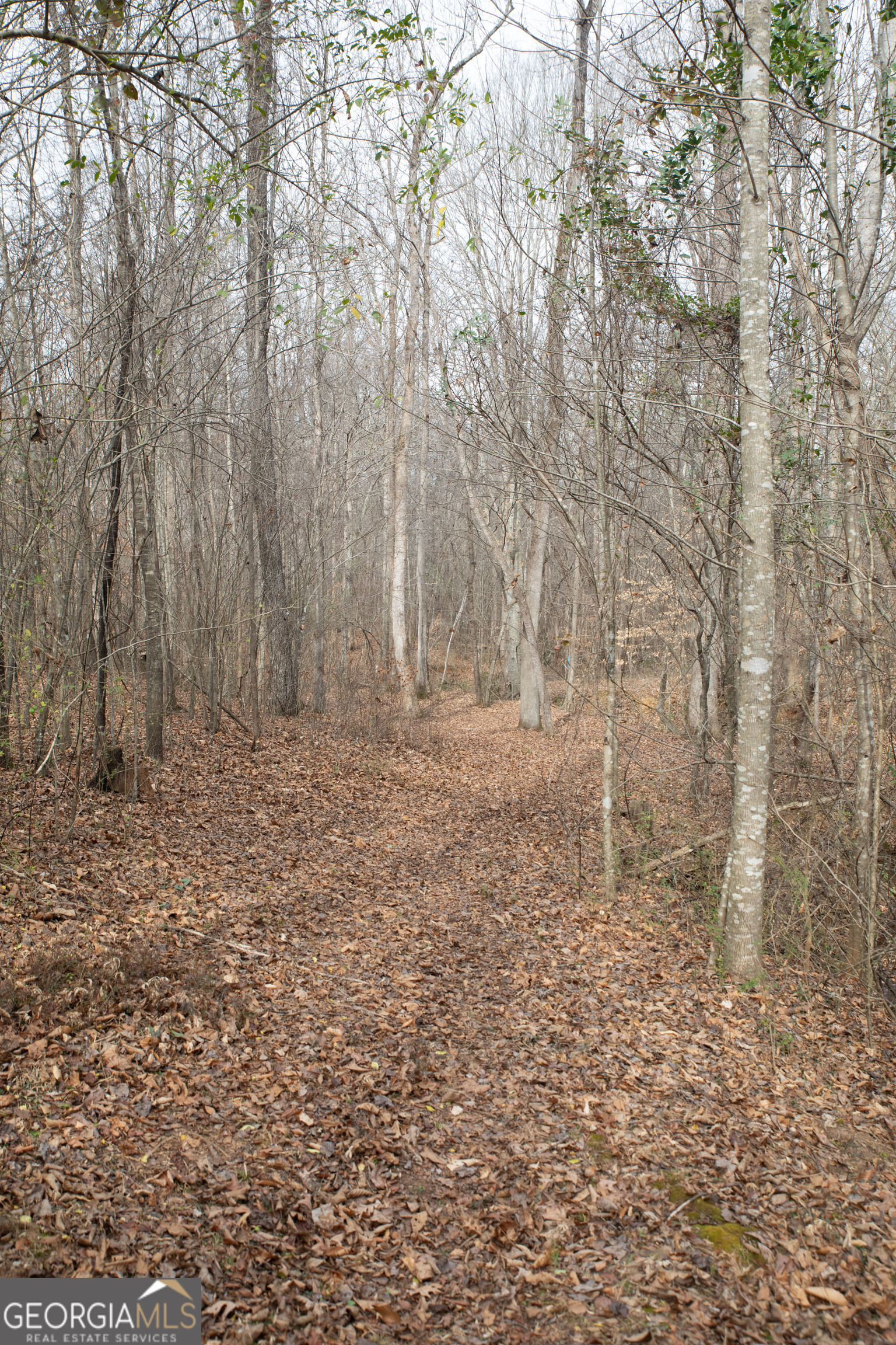 0 Kesler Carnesville GA 30521