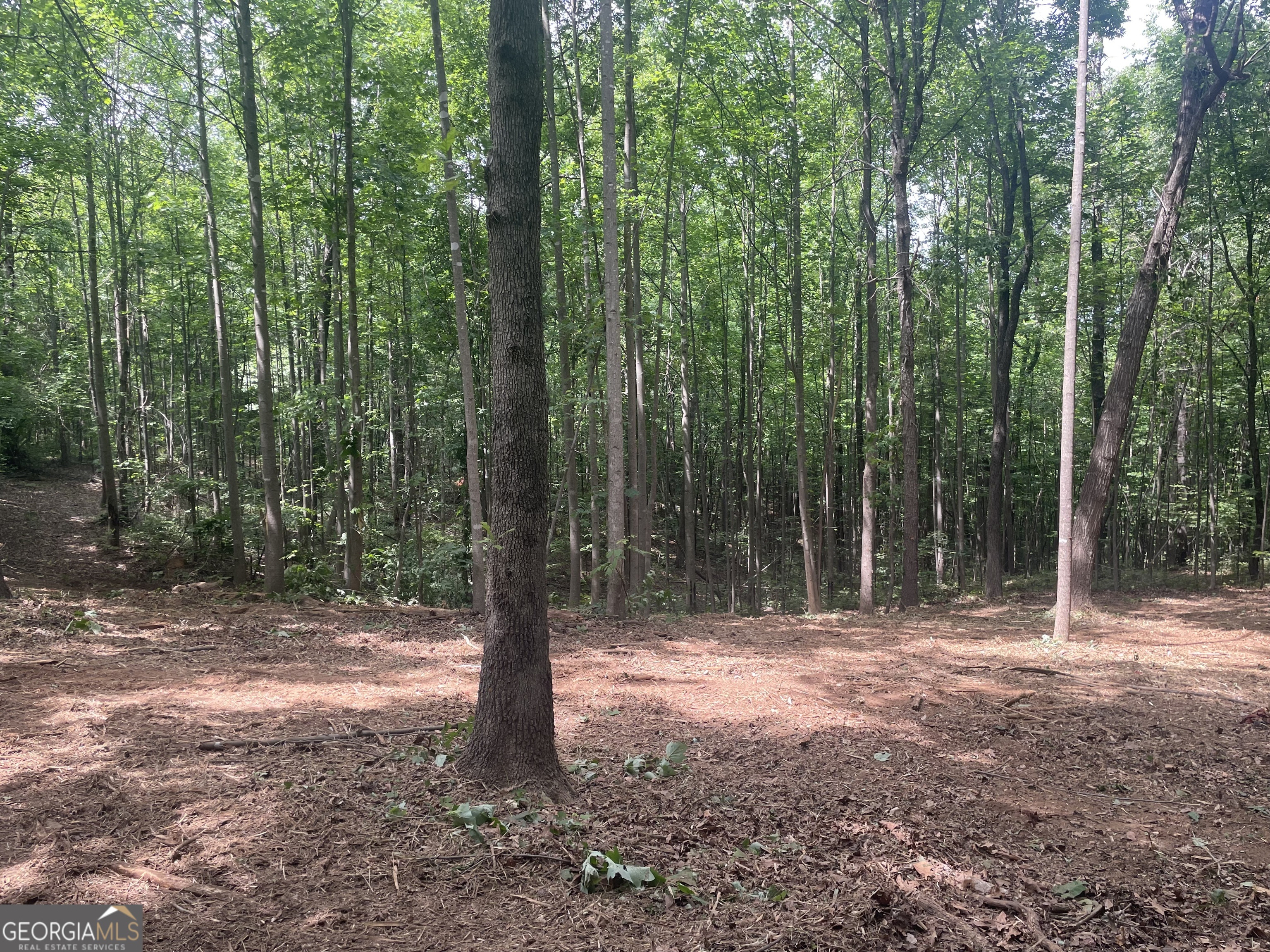 0 Kesler Carnesville GA 30521