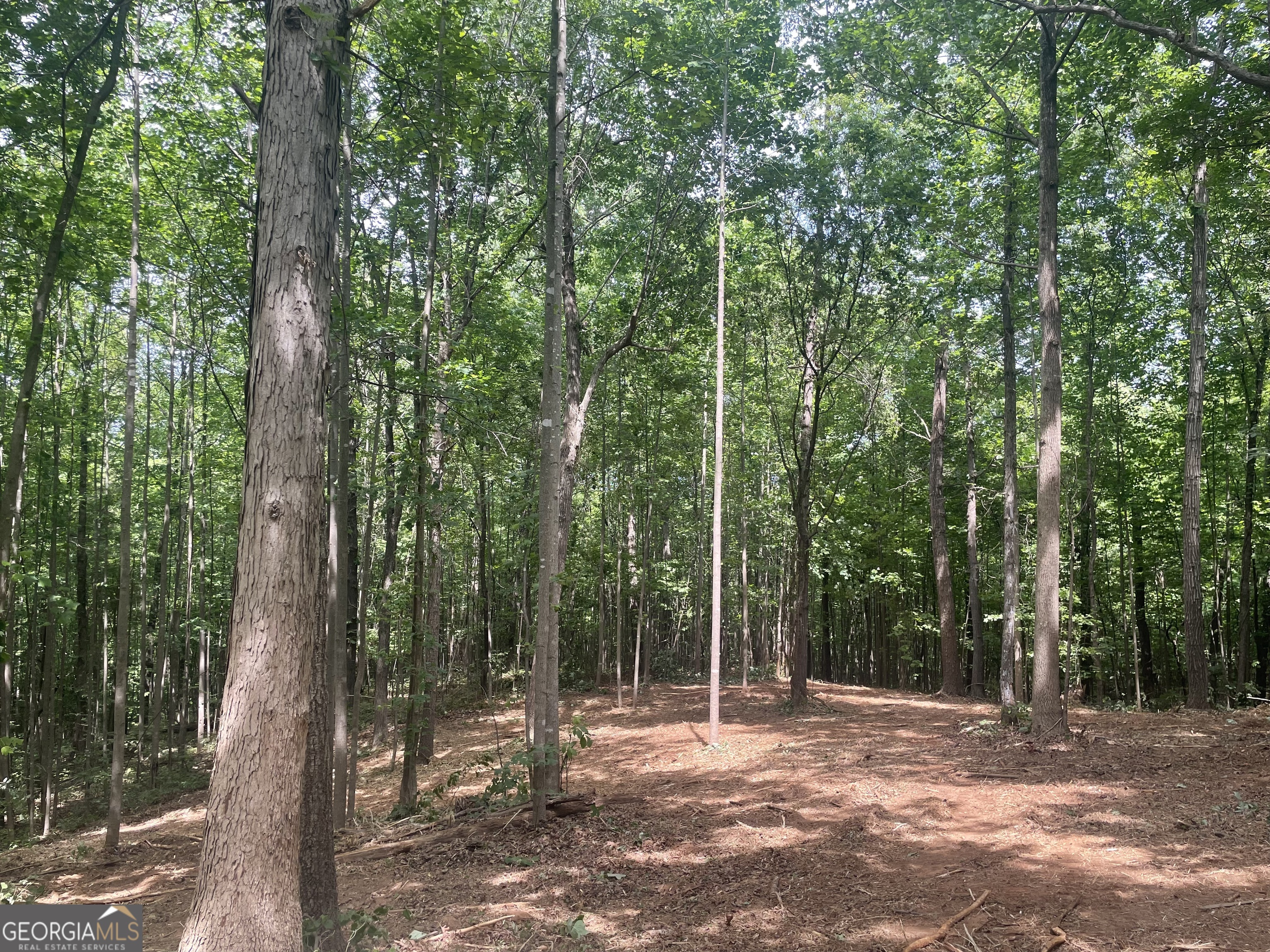 0 Kesler Carnesville GA 30521