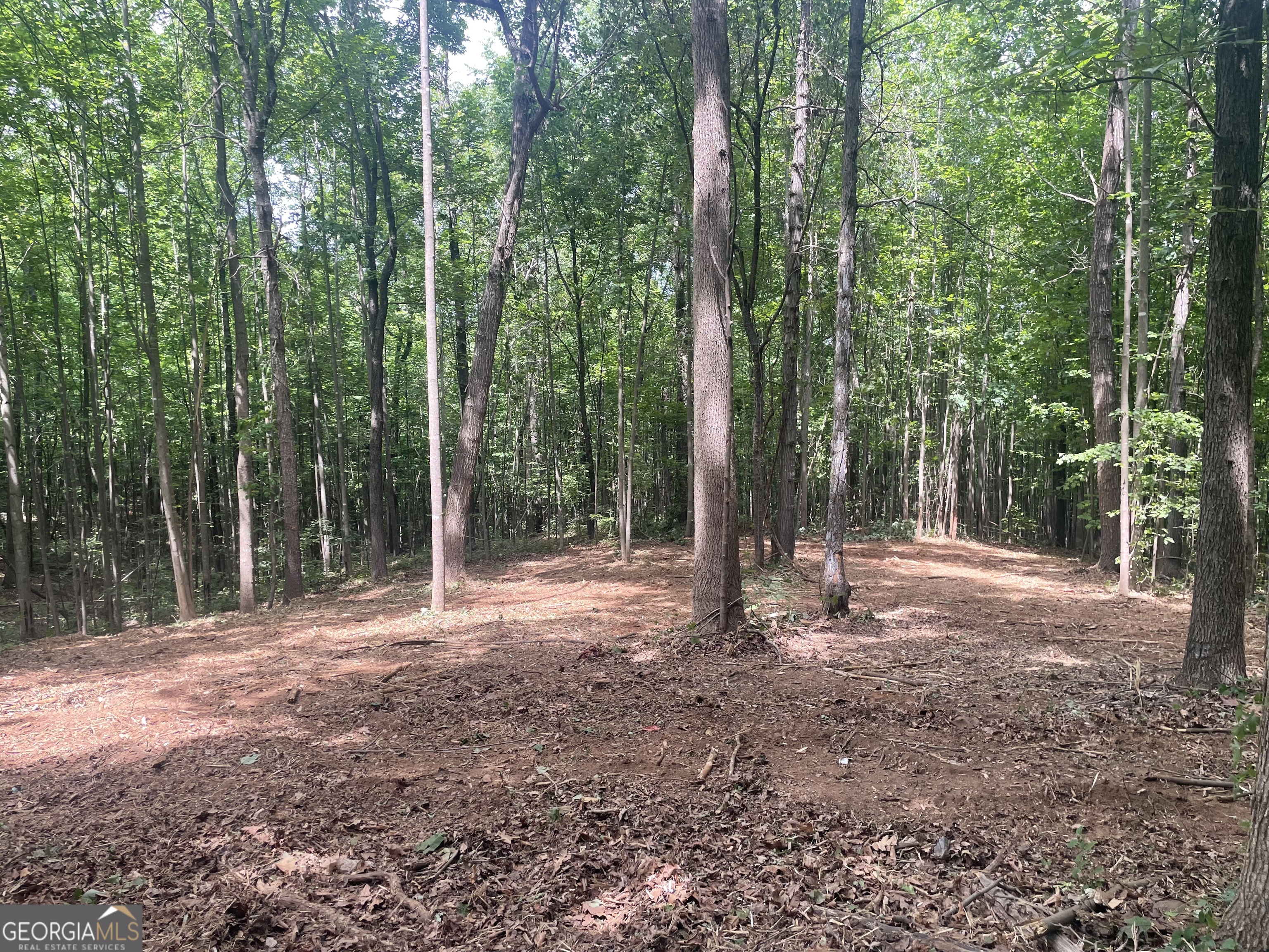 0 Kesler Carnesville GA 30521