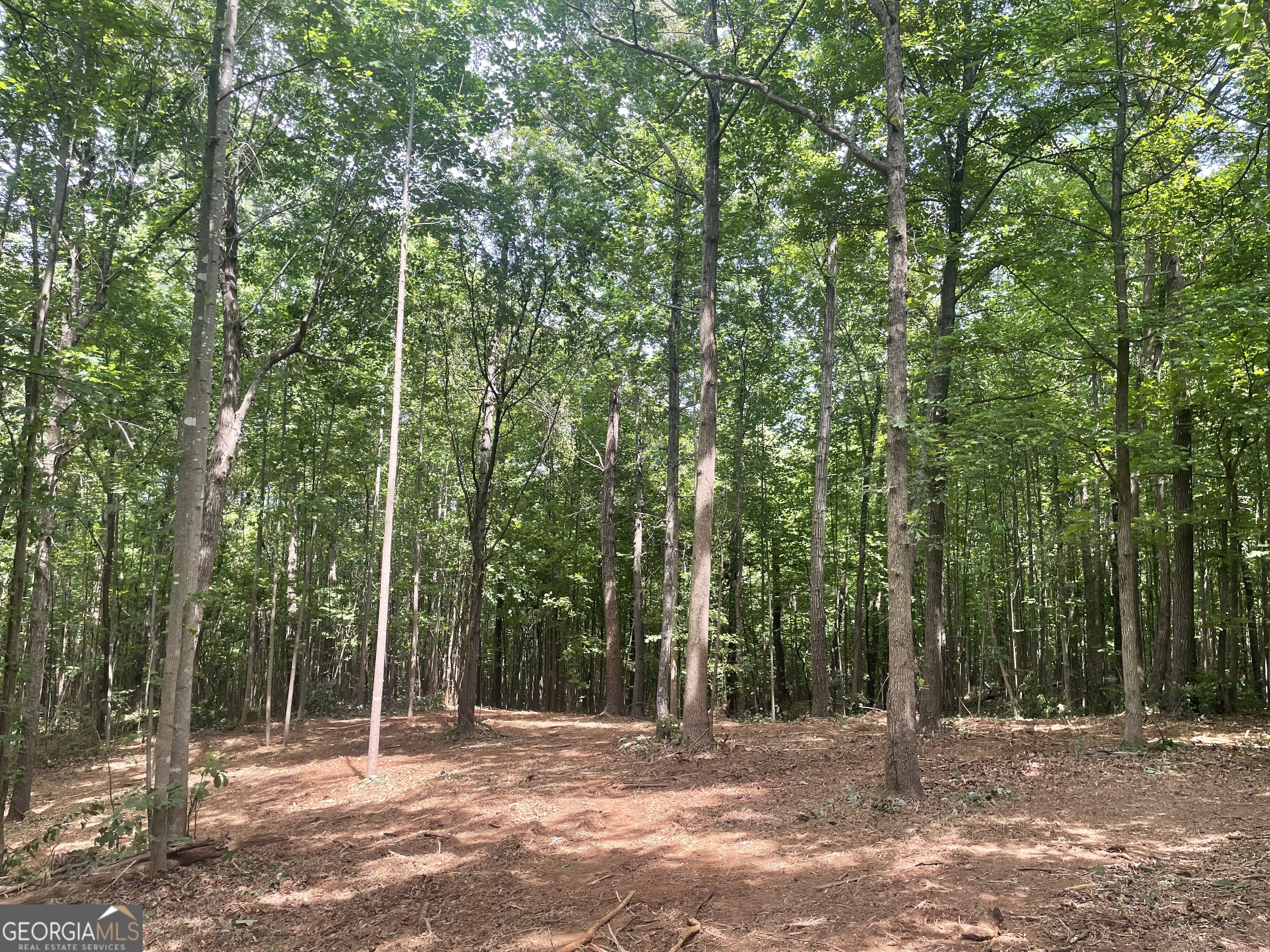 0 Kesler Carnesville GA 30521