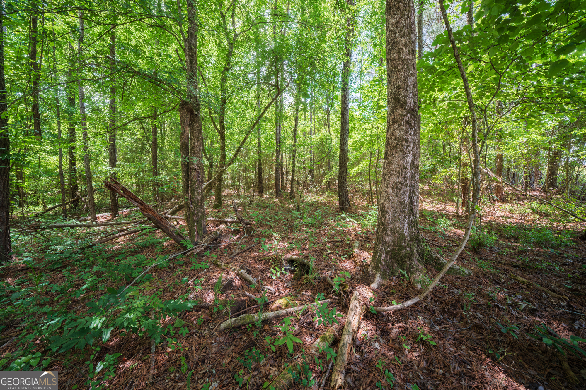 0 Old Haul Road Dry Branch GA 31020