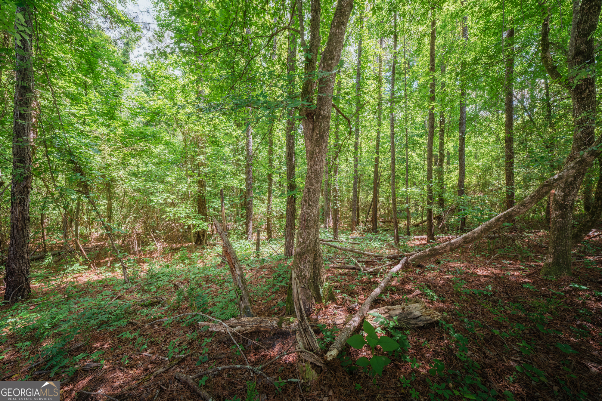 0 Old Haul Road Dry Branch GA 31020