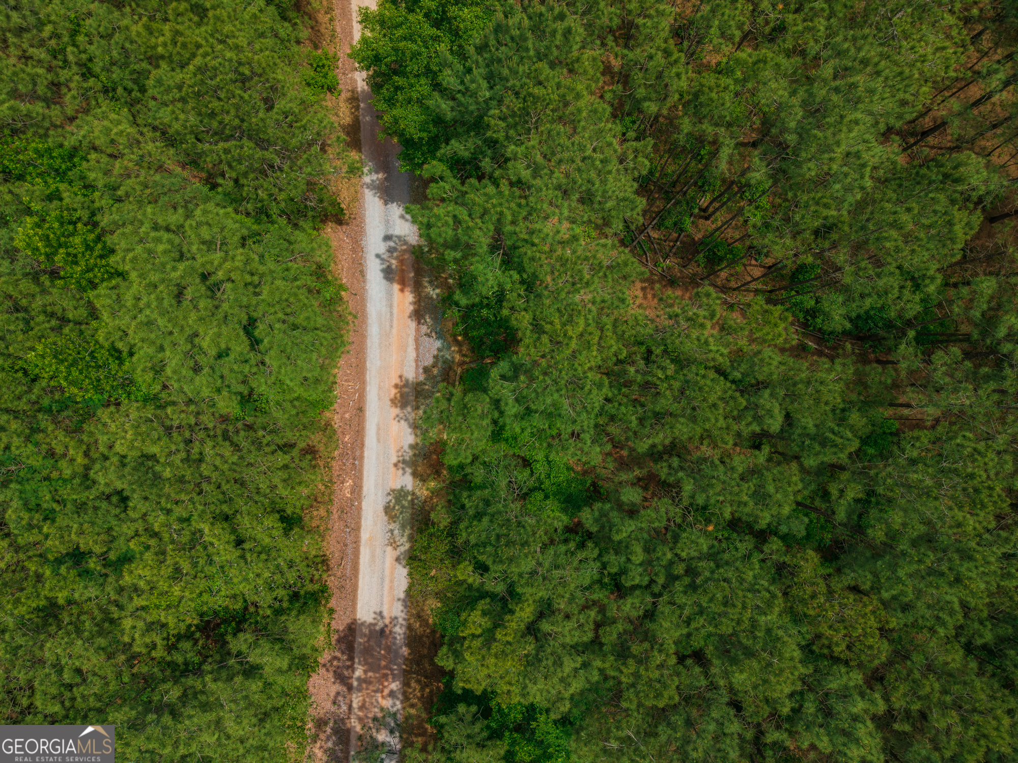 0 Old Haul Road Dry Branch GA 31020