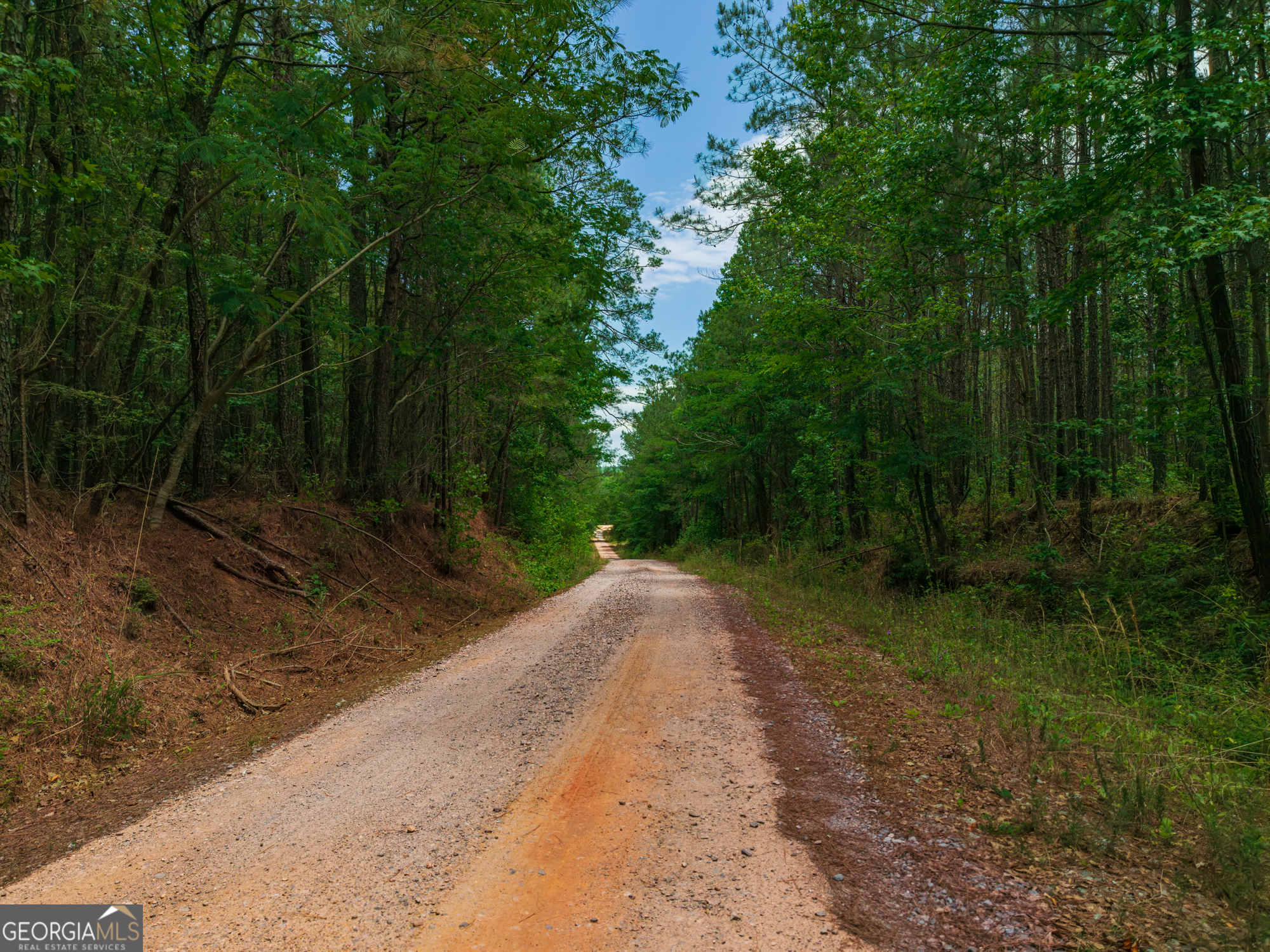 0 Old Haul Road Dry Branch GA 31020
